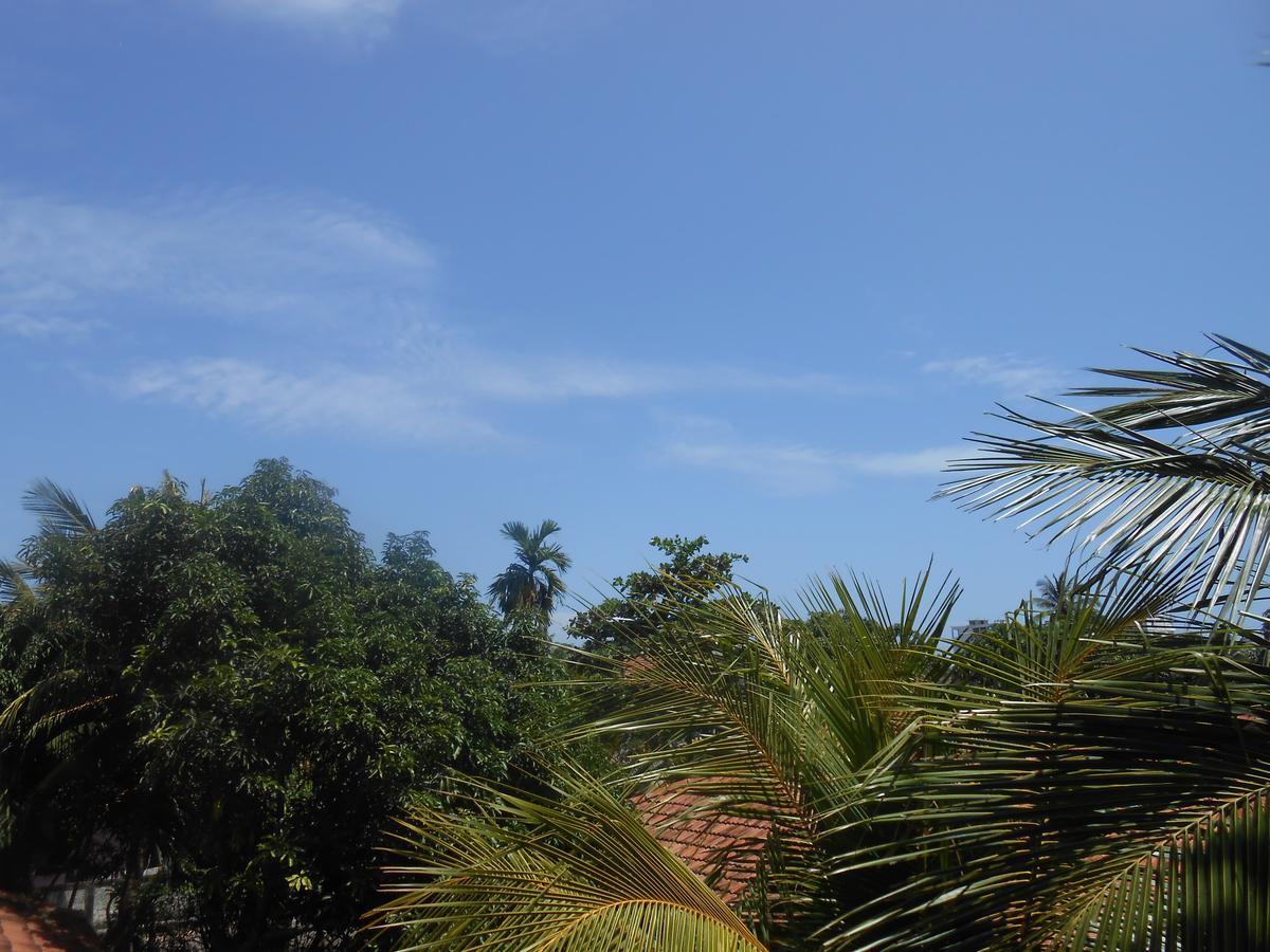 Villa Rodrigo Negombo Extérieur photo